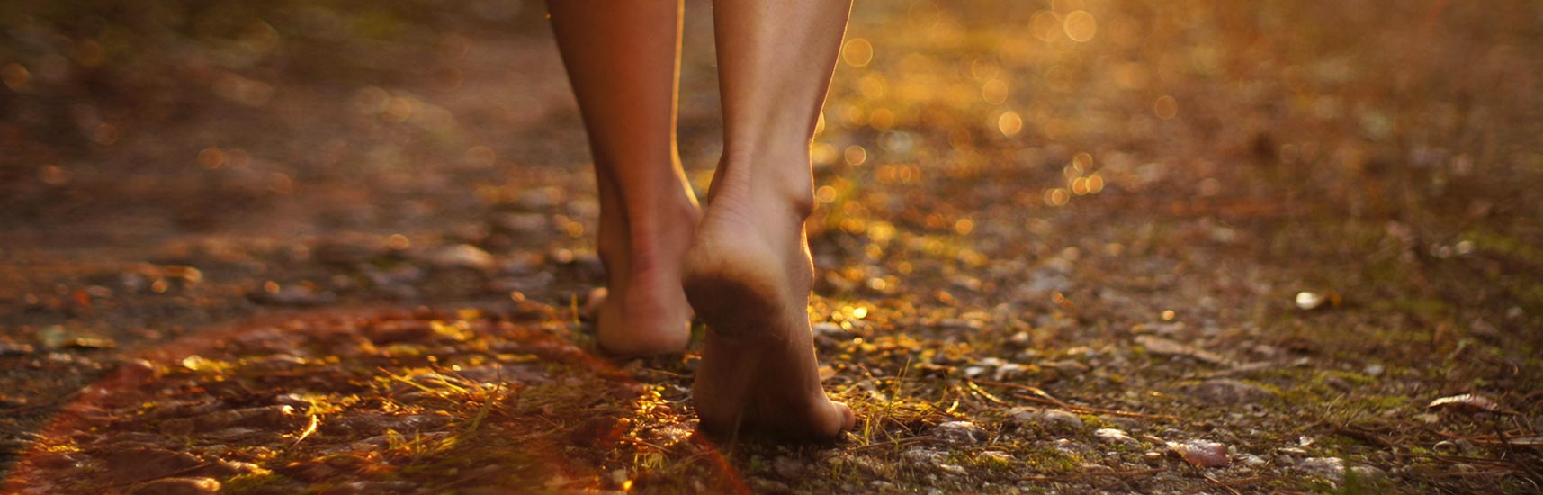 Planning the service that's right for your family